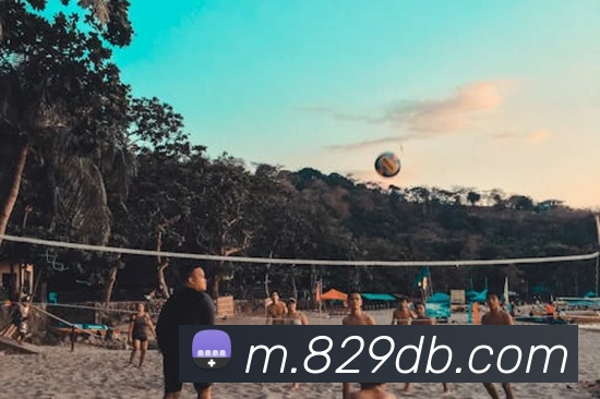 全网担保网APP 封面图